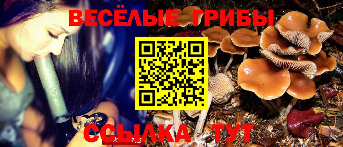 Псилоцибиновые грибы мухоморы Алексеевка