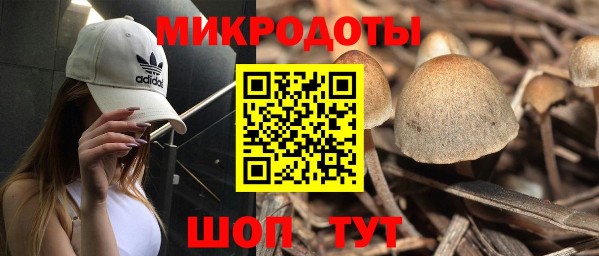 Псилоцибиновые грибы мицелий  Галлюциногенные грибы GOLDEN TEACHER  Алексеевка  Вход с VPN 